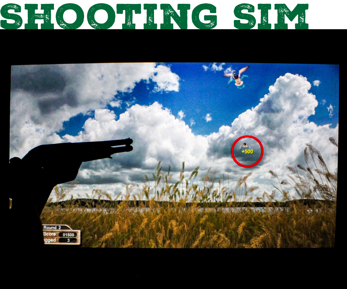 Shooting sim header